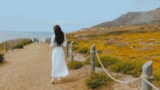 时髦旅拍神器｜玩转美国这个城市看这一篇就够了私房路线干货