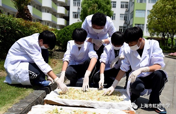 鏂版皯鏅氭姤瀛︽牎,铏规ˉ涓鍖楁牎