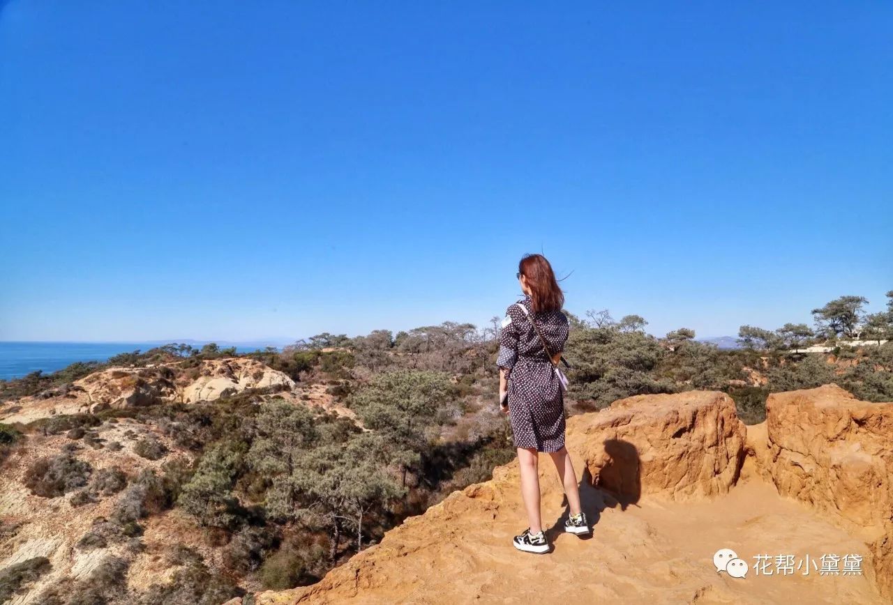时髦旅拍神器｜玩转美国这个城市看这一篇就够了私房路线干货