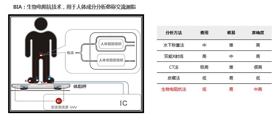 正面迎战智慧家庭：从称体重到“称”健康，芯海智慧测量全包了！