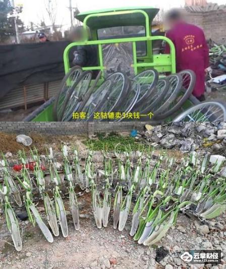 酷骑单车押金事件近况,酷骑单车押金怎么退回来