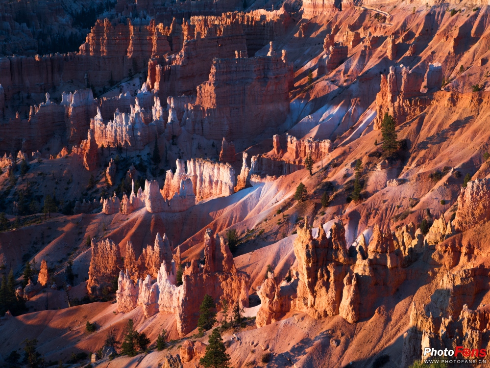 腾龙超长焦变焦镜头50-400mm,腾龙sp24-70mmf2.8