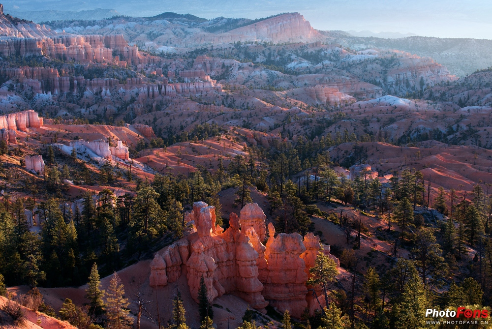 腾龙超长焦变焦镜头50-400mm,腾龙sp24-70mmf2.8