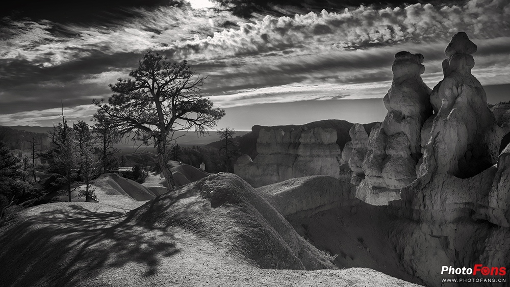 腾龙超长焦变焦镜头50-400mm,腾龙sp24-70mmf2.8