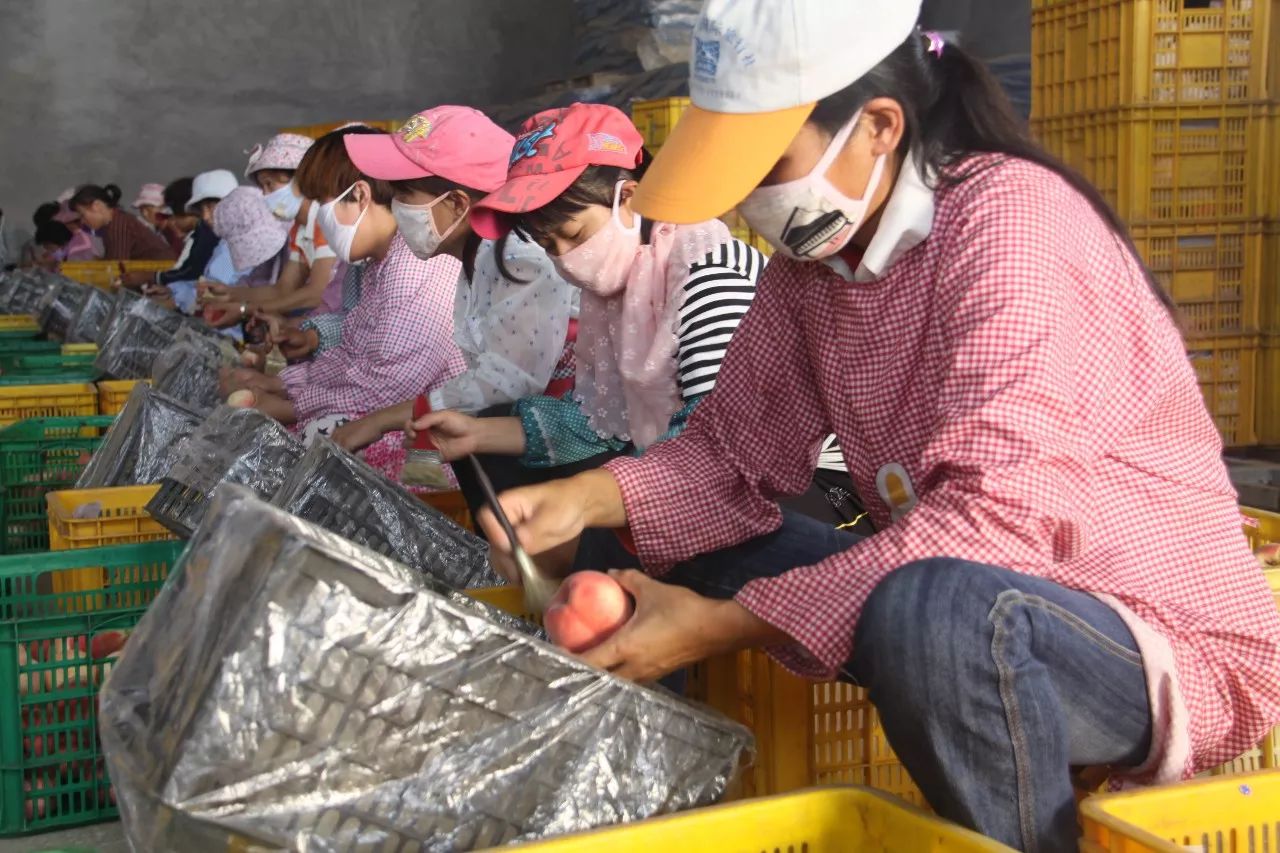 蒙阴蜜桃的口感质量,蒙阴蜜桃品鉴