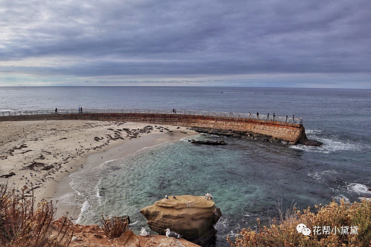 时髦旅拍神器｜玩转美国这个城市看这一篇就够了私房路线干货