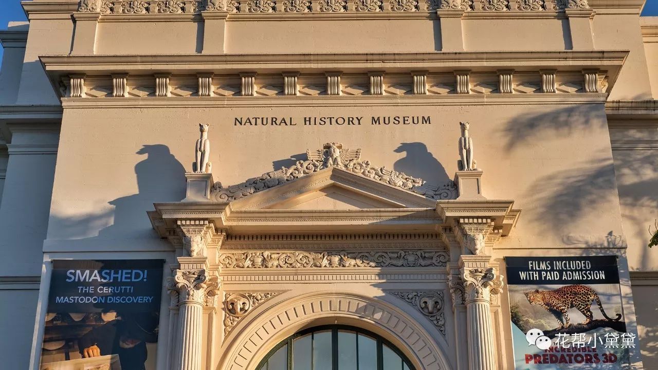时髦旅拍神器｜玩转美国这个城市看这一篇就够了私房路线干货