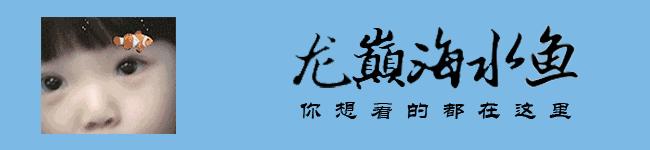 大型海缸欣赏,海缸有什么可玩的