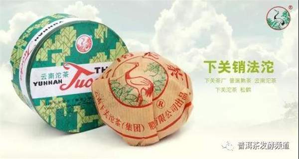 普洱熟茶是普洱茶的未来趋势吗,普洱熟茶到欧洲为啥被退回来