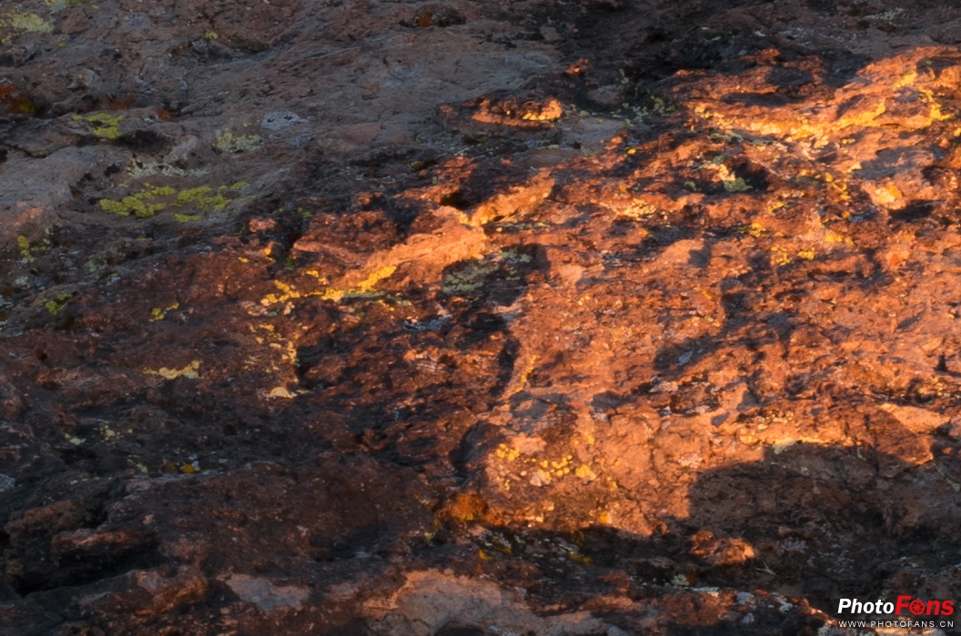 腾龙超长焦变焦镜头50-400mm,腾龙sp24-70mmf2.8