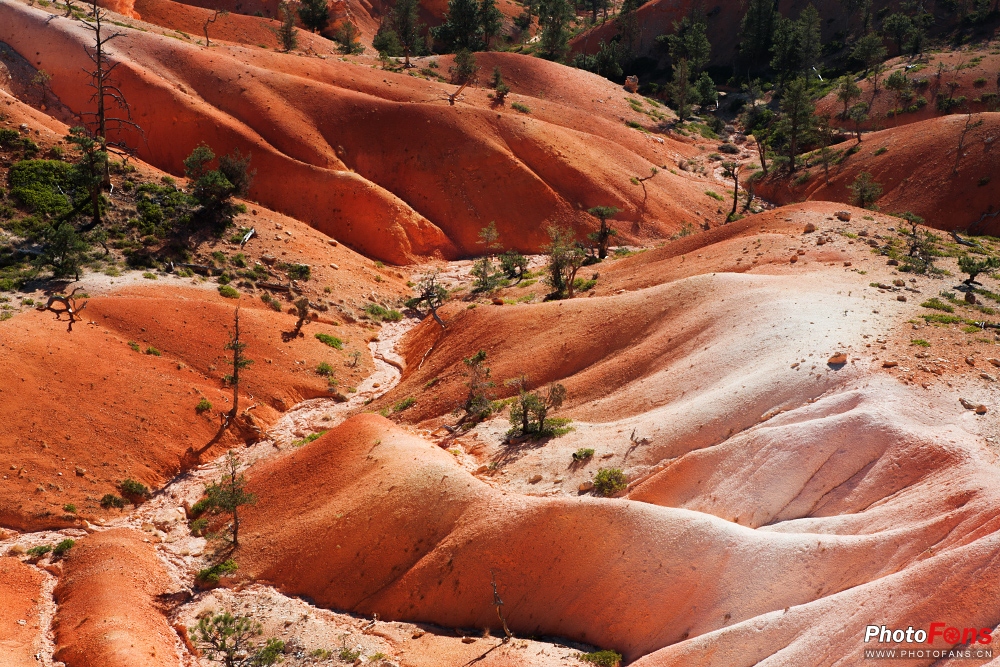腾龙超长焦变焦镜头50-400mm,腾龙sp24-70mmf2.8