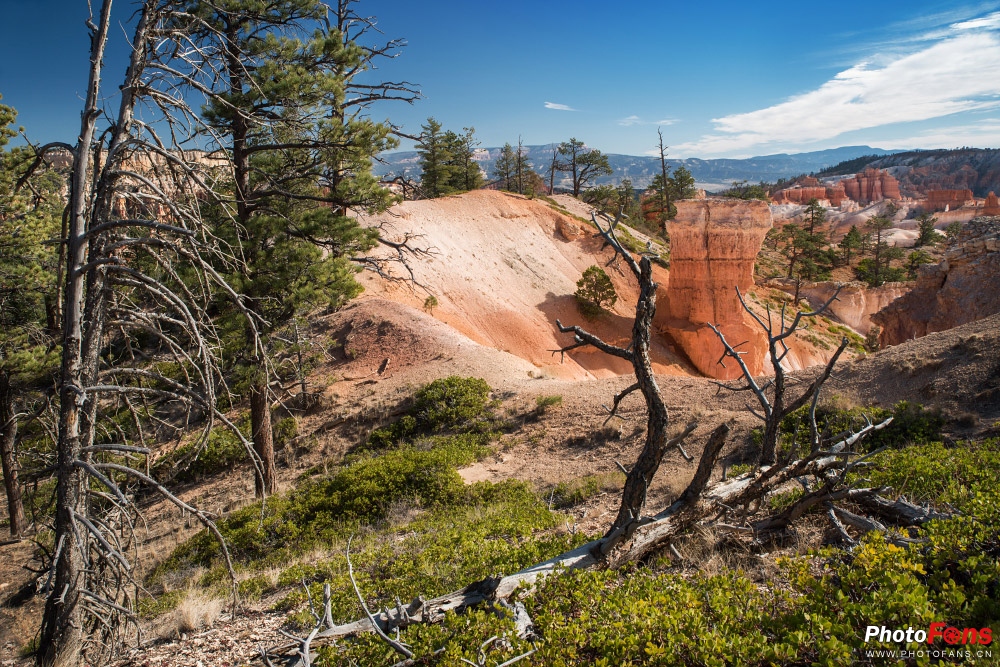 腾龙超长焦变焦镜头50-400mm,腾龙sp24-70mmf2.8