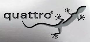 奥迪quattro壁虎,奥迪quattro壁虎标志