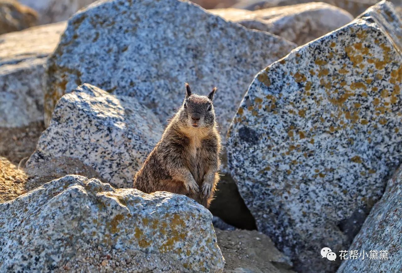时髦旅拍神器｜玩转美国这个城市看这一篇就够了私房路线干货