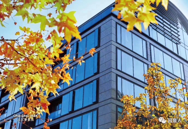 贝尔高林景观设计怎么样,十大顶级豪宅景观