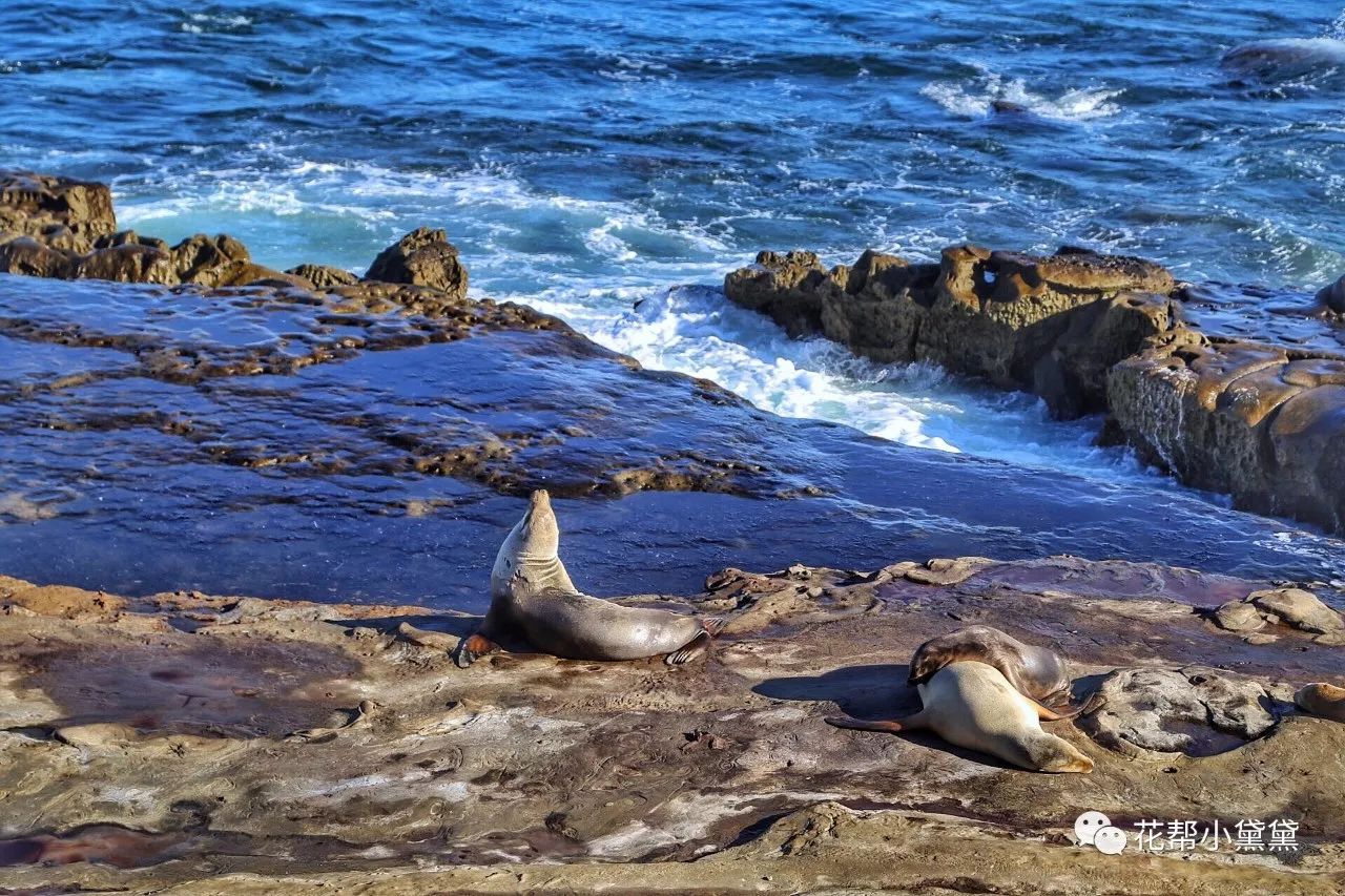 时髦旅拍神器｜玩转美国这个城市看这一篇就够了私房路线干货