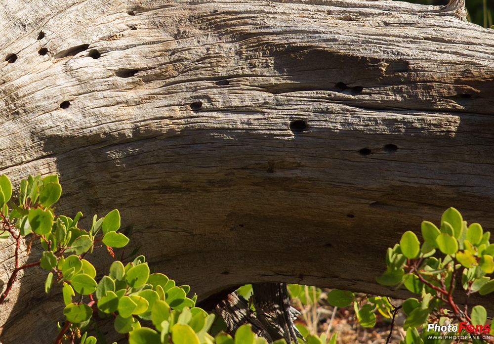 腾龙超长焦变焦镜头50-400mm,腾龙sp24-70mmf2.8