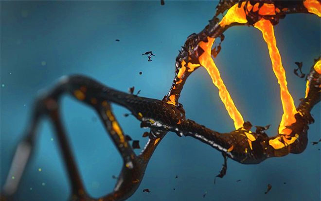 张峰基因编辑教程,张锋基因编辑完整版