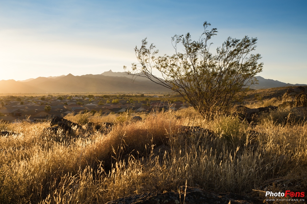 腾龙超长焦变焦镜头50-400mm,腾龙sp24-70mmf2.8