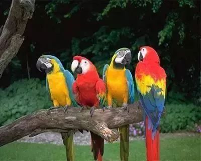 免单3天!南宁这个乐园的老板“疯了”?!