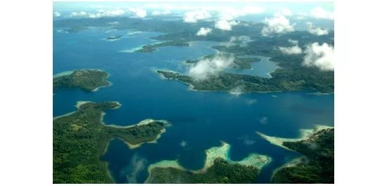 十七世纪的英国船员靠狗来测定经度？论伪科学，我只服翁贝托·埃科！