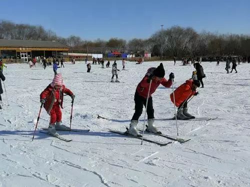 冬天来宁夏去哪玩,宁夏适合孩子玩的地方