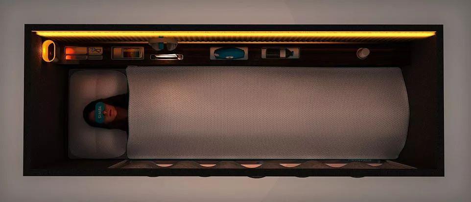 塞满豪华装备的移动“希尔顿”一万块买个树洞你钻吗？