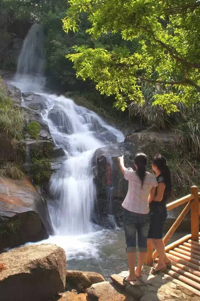 黄楮林温泉度假村有没有独栋,黄楮林和大明谷温泉哪个好