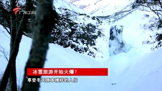 年假旅游去哪里最好,年假旅游推荐城市