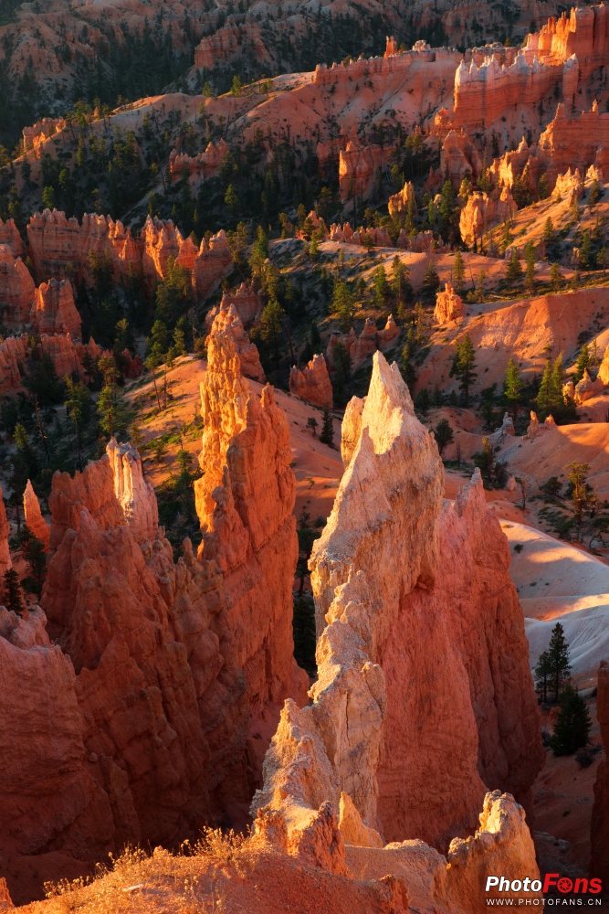 腾龙超长焦变焦镜头50-400mm,腾龙sp24-70mmf2.8