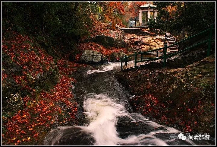 黄楮林温泉度假村有没有独栋,黄楮林和大明谷温泉哪个好