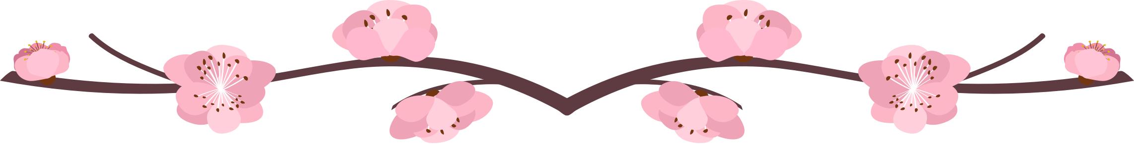 一夜之间，杭州姑娘账上突然多了一大笔资金！背后牵出惊人秘密……