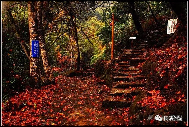 黄楮林温泉度假村有没有独栋,黄楮林和大明谷温泉哪个好