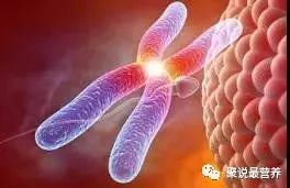 孕妇营养不良又吃不下怎么办,孕妇饮食不均衡应该补充什么