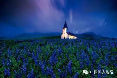 鲁冰花的故事,鲁冰花背后的故事