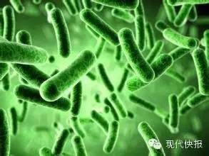 接吻不传染感冒，但可能“毒”！