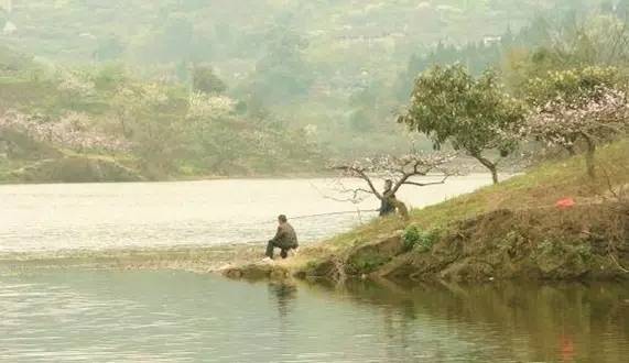 成都周边适合新手钓鱼的地方,成都2020十大免费钓鱼地方