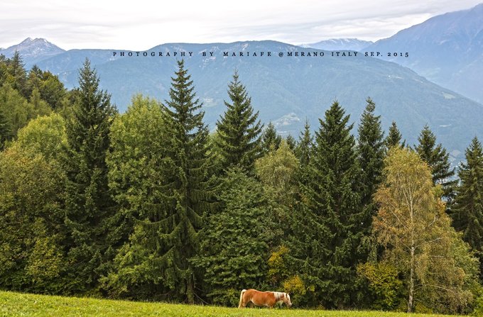 第一次去欧洲去西班牙还是意大利,没出过国第一次可以去欧洲吗