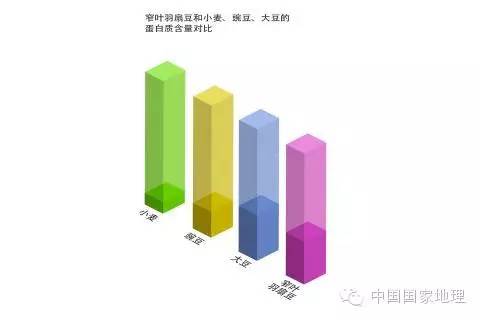 鲁冰花的故事,鲁冰花背后的故事