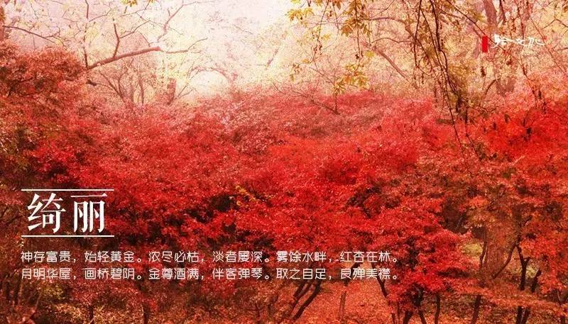 崇尚老庄的古人,写出了二十四种“道法自然”之美