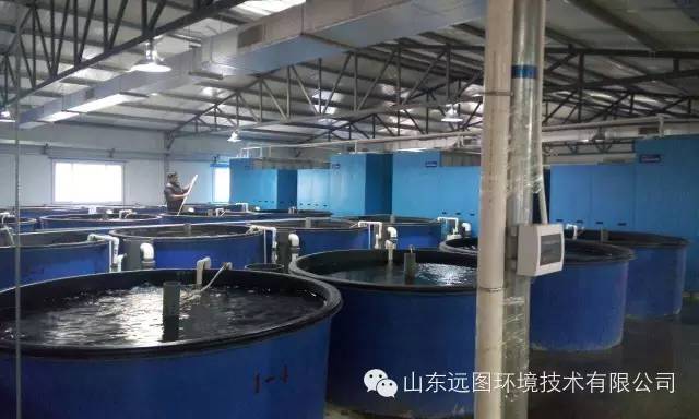 最新循环水养殖,循环水养殖系统图片大全集