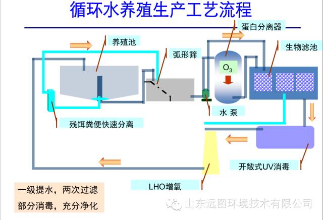 最新循环水养殖,循环水养殖系统图片大全集
