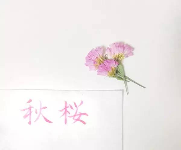 一支钢笔可以用不同颜色的墨水吗,钢笔用什么颜色的墨水才炫酷