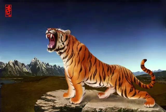 属虎的五月有什么大事,属虎的今日大事