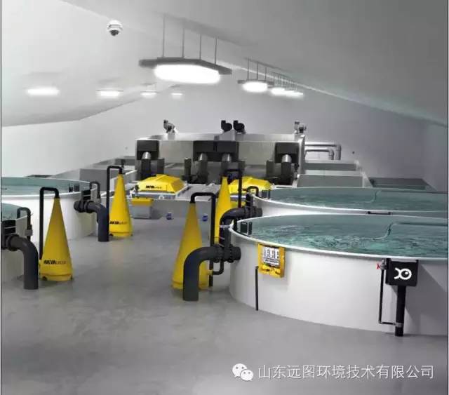 最新循环水养殖,循环水养殖系统图片大全集