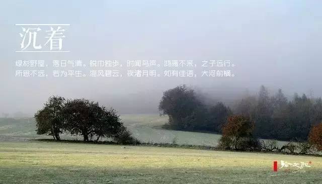 崇尚老庄的古人,写出了二十四种“道法自然”之美