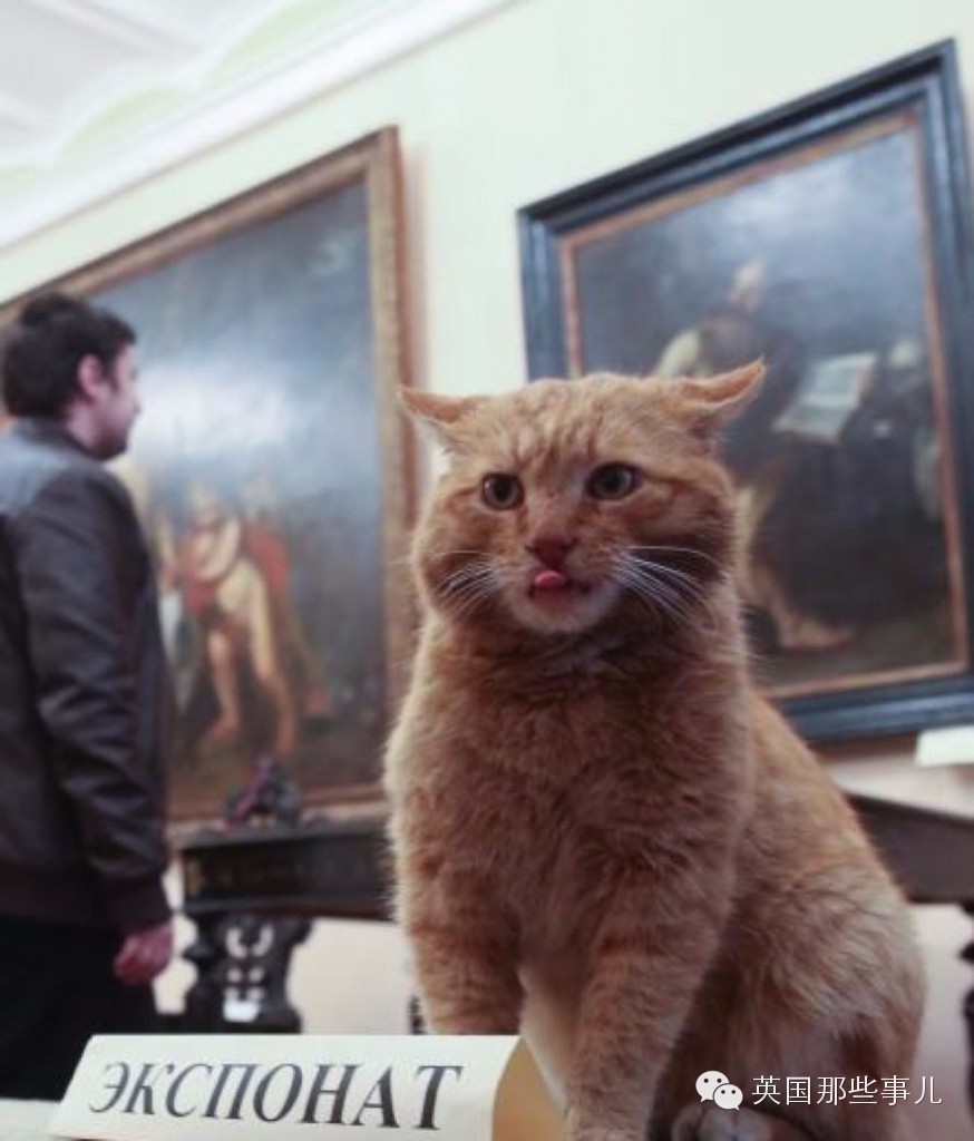 一个玩大了的愚人节玩笑...这博物馆真雇了只喵当他们正式员工...
