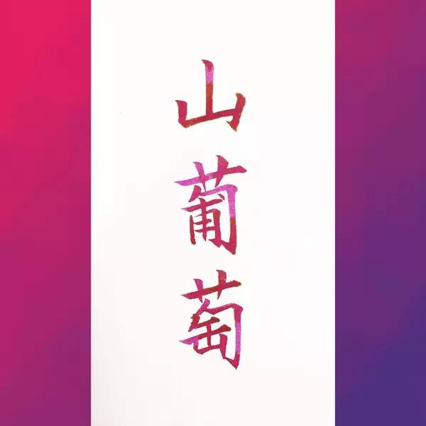 一支钢笔可以用不同颜色的墨水吗,钢笔用什么颜色的墨水才炫酷