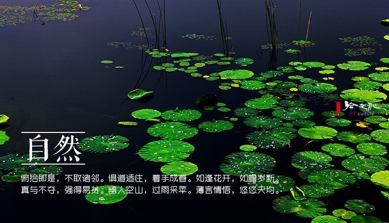 崇尚老庄的古人,写出了二十四种“道法自然”之美