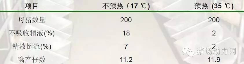 猪场分娩舍的管理要点,猪场分娩舍有哪些重点